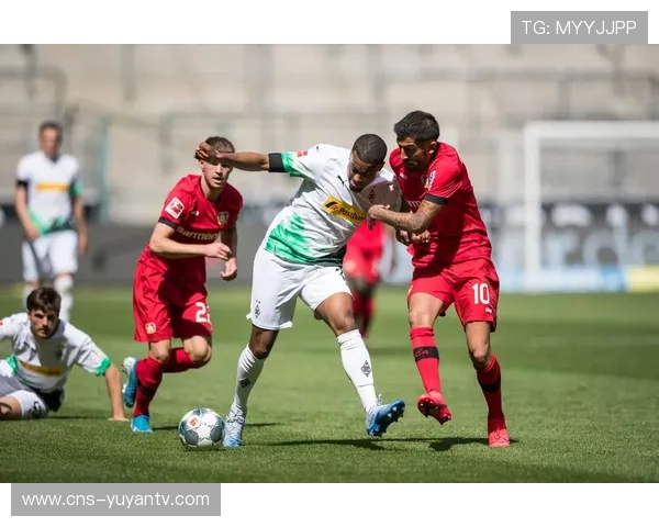 德甲残疾球迷设施升级，无障碍观赛推进